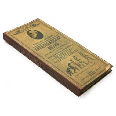 Визитница "Происхождение видов"