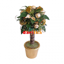 Букет из конфет Денежное дерево Букет из конфет Денежное дерево