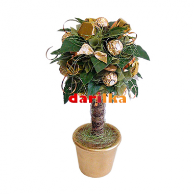 Букет из конфет Денежное дерево