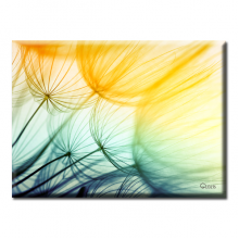 Картины на холсте Glozis Картина Glozis Dandelions Картины на холсте Glozis Картина Glozis Dandelions