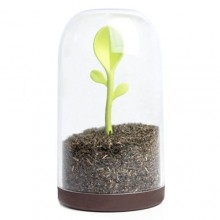 Контейнер для сыпучих Qualy Sprout Jar Контейнер для сыпучих Qualy Sprout Jar
