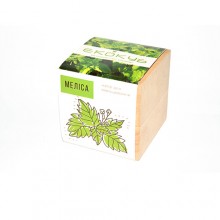 Набор для выращивания Экокуб Мелисса Набор для выращивания Экокуб Мелисса