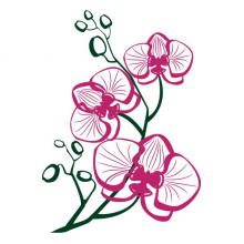 Наклейки интерьерные Glozis Виниловая Наклейка Glozis Orchid Наклейки интерьерные Glozis Виниловая Наклейка Glozis Orchid