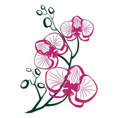 Наклейки интерьерные Glozis Виниловая Наклейка Glozis Orchid