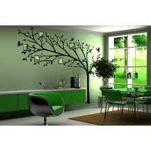 Дерево Для Фотографий