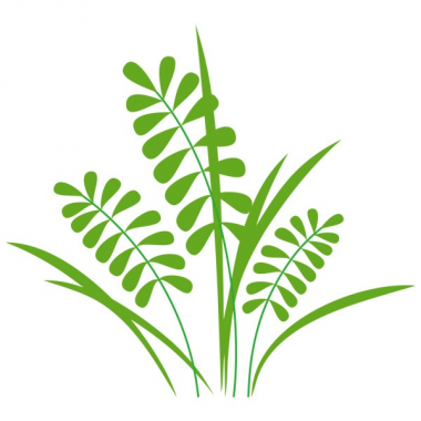 Наклейки интерьерные Glozis Виниловая Наклейка Glozis Herb