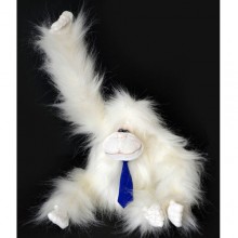 Обезьянка Рафаэль Обезьянка Рафаэль