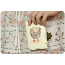 ОБЛОЖКА ДЛЯ ПАСПОРТА "ЛЮБОПЫТСТВО" ОБЛОЖКА ДЛЯ ПАСПОРТА "ЛЮБОПЫТСТВО"