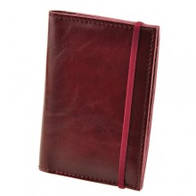 Обложка на паспорт 2.0 Вишня Обложка на паспорт 2.0 Вишня