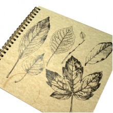 Альбом для гербария "Ботаника", 40л Альбом для гербария "Ботаника", 40л