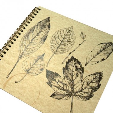 Альбом для гербария "Ботаника", 40л