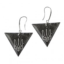 Серьги "Герб"